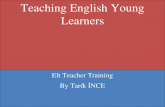 Teaching english young learners