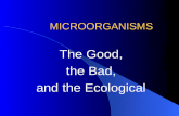 Good bad ecological