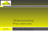 Telecommuting Pros and Cons