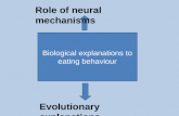 Biological explanations to eating behaviour Role of neural mechanisms Evolutionary explanations.