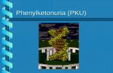 Phenylketonuria (PKU). PKU at a Glance b Name of disorder: Phenylketonuria (PKU) b OMIM number: 261600 b inheritance pattern: autosomal recessive.