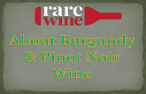 About Burgundy & Pinot Noir Wine