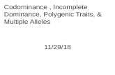 Codominance  ,  Incomplete Dominance, Polygenic Traits, & Multiple Alleles