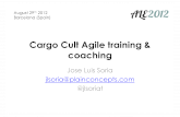 Cargo Cult Agile training & coaching