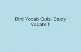 Bird  Vocab  Quiz- Study  Vocab !!!!