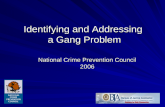 Identifying and Addressing  a Gang Problem