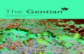 Gentian Spring 2012