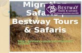 Migration Safaris |Bestway Tours & Safaris