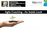 Agile Coaching: An Inside Look