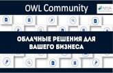 Owl community