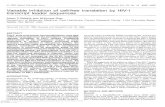 Variable inhibition of cell-free translation by HIV-1 transcript leader ...