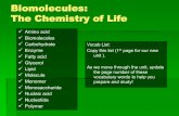 Biomolecules: The Chemistry of   Atoms  Compounds ... Animals convert carbs and store the energy in the form of glycogen ... Lipids Proteins Nucleic acids
