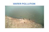 4.LECTURE-Water and soil pollution POLLUTION Water pollution is the contamination of water bodies (e.g. lakes, rivers, oceans and ground waters). Water pollution occurs when pollutants