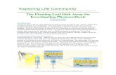 The Floating Leaf Disk Assay for Investigating Photosynthesis American Biology Teacher, 51(3): 174-176. Armstrong, Joeseph E. 1995. Investigation of Photosynthesis using the Floating