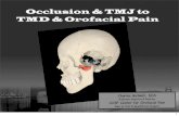 Occlusion TMJ to TMD Orofacial Pain TMJ to TMD Orofacial Pain History • Occlusion • TMJ Current TMD • Guidelines • Patient Care • Research Current OFP • Acute v. Chronic
