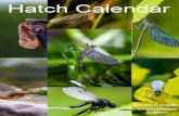 hatch Calendar - Fishing .HATCH CALENDAR . I cannot pretend that this Hatch Calendar is solely my