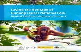 Saving the heritage of Gunung Leuser National Park: Rainforest Heritage of Sumatra (TRHS). During the