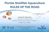 Florida Shellfish Aquaculture RULES OF THE .Background •New shellfish aquaculture leases in Cedar