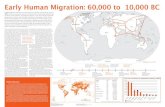 Early Human Migration: 60,000 to 10,000 .Early Human Migration: 60,000 to 10,000 BC Modern Migration