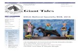 Giant Tales - Giant Schnauzergiantsc .National Specialty Results, Friday, October 14, 2016 Giant