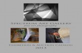 fine art photography - Spectrum Art Gallery pdf/2013 Spectrum Sm Catalog... · fine art photography