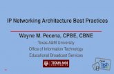 IP Networking Architecture Best Practices - .IP Networking Architecture Best Practices Wayne M. Pecena,