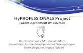 HyPROFESSIONALS Project - fch.· HyPROFESSIONALS project 1. Project achievements: Project goals From