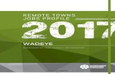 Wadeye remote towns jobs profile .Web viewpersons, an increase of 27 jobs from 2014 and an increase