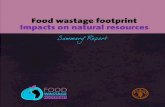 Food wastage footprint: Impacts on natural resources ...· About this document The Food Wastage Footprint