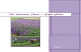 The Lavender Farm – Style Guide - Resources for VET .The Lavender Farm – Style Guide . Lavender