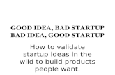 Good Idea, Bad Startup (UCLA ECON 106E)