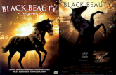 Black beauty p