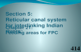 Interlinking rivers 7 - Interlinking Indian Rivers - Short Presentation 6 - Feeding areas for FPC (Refer Chapter 21.11)