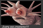 2014 Ali R (sea creatures)
