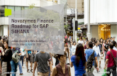 Novozymes Finance Roadmap for SAP S4HANA - .Novozymes Finance Roadmap for SAP S4HANA ... SAP HR BPC