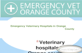 Find Best Pet Clinic in Orange County