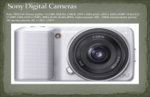 Sony digital cameras