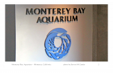 Monterey Bay Aquarium and vicinity - Monterey California