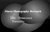 Macro Photography Research