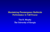 Maximizing Preemergence Herbicide Performance in Tall Fescue Tim R. Murphy The University of Georgia.