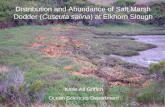Distribution and Abundance of Salt Marsh Dodder (Cuscuta salina) at Elkhorn Slough Katie Alt Griffith Ocean Sciences Department