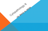 CYTOPATHOLOGY-8 DR. MAHA AL-SEDIK. Sputum, bronchial wash and bronchial brush cytology