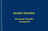 Human Genetics Mendelian Genetics Exceptions. Gene (allele) interactions  Dominance  Recessive  Codominance  Incomplete dominance  Epistasis 