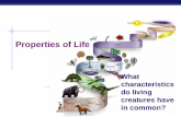 Properties of Life What characteristics do living creatures have in common?