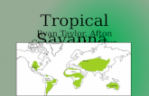Tropical Savanna Ryan Taylor, Afton Conner, and Jessalyn Stivers.