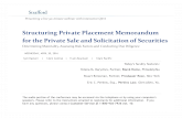 Structuring Private Placement Memorandum for the Private ...media.· Structuring Private Placement