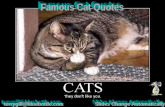 Famous Cat Quotes