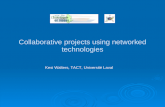 Collaborative projects using networked technologies