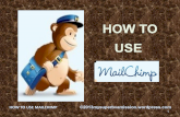 How to use mail chimp