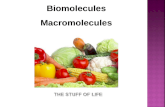 Biomolecules Macromolecules. Compare the structures and functions of different types of biomolecules including carbohydrates, lipids, proteins, and nucleic.